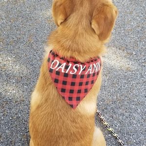 Personalized over the collar pet bandan